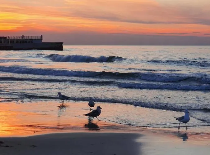 דירה Sailor - Wyjatkowe Miejsce *